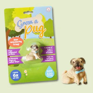 Grow A Pug Toy